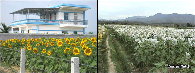 20099103419149 (1).jpg